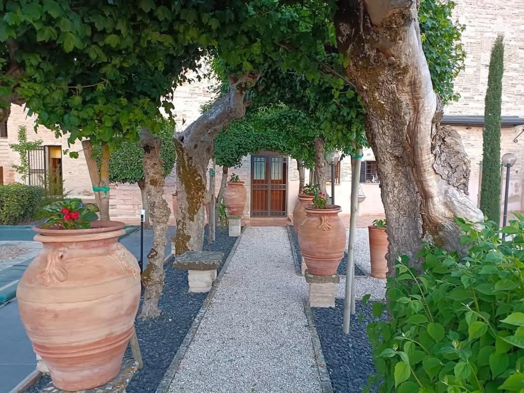 Degli Alessandri House Sassoferrato Ngoại thất bức ảnh